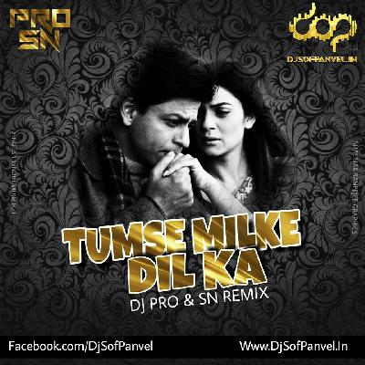 Tumse Milke Dil Ka - DJ Pro & DJ SN Remix